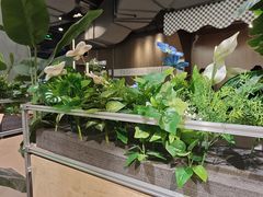 -菌小白火锅(时尚天河店)
