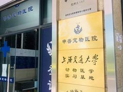 -申普宠物医院·眼科·心内科·影像科(普陀分院)