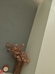 -Lily纤美·科技减脂中心