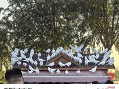 -天津妈祖文化园