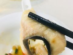 鸭嘴鱼—鱼三味之煮-顺德美食坊(南沙分店)