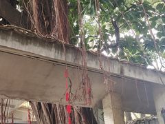 -广州市紫泥堂文化创意园景区