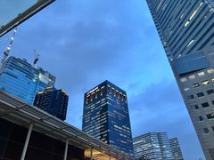 -新加坡乌节希尔顿酒店 (SG Clean)