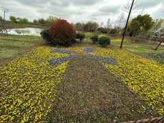 -泗洪洪泽湖湿地景区