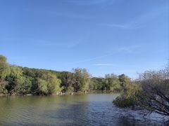 -上海吴淞炮台湾国家湿地公园