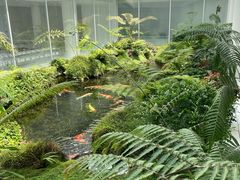 -罗红摄影艺术馆