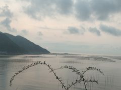 -北岐滩涂