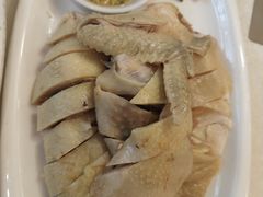 白切鸡-汇兴源餐馆(小北路店)