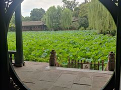 -桂湖森林公园