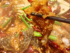 -老板恋上鱼(印象城店)