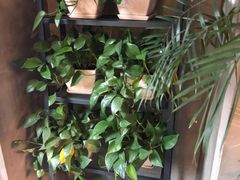 -HIGH FIVE哈福手工汉堡(桂林路店)