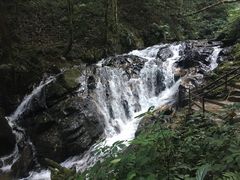 -莫里热带雨林景区