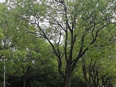 -南湖湿地公园