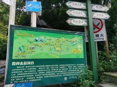 -南海湾森林生态园