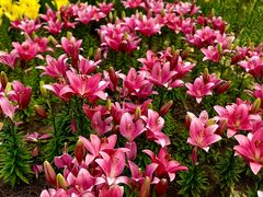 -长春公园(普阳街道)