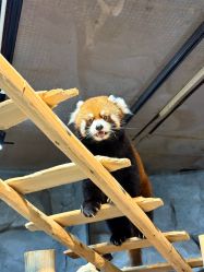 -Zoolung Zoolung动物主题公园(海信广场店)