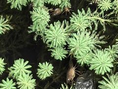 -白鹭湾湿地公园