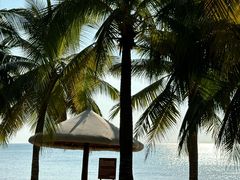 -日落吧·海景咖啡厅·餐酒吧·鸡尾酒·下午茶·乐队表演·浪漫夕阳·三亚文华东方酒店