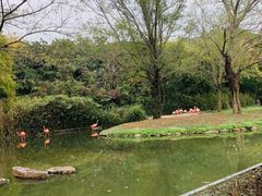 -上海野生动物园
