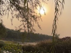 -丁香湖公园