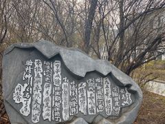 -齐齐哈尔市实验中学
