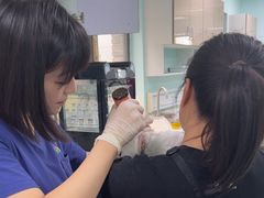 -北京观赏动物医院·24小时大型综合·猫专科·异宠专科