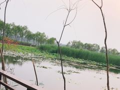 -绿堤公园