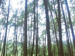 -硗碛藏寨·神木垒景区