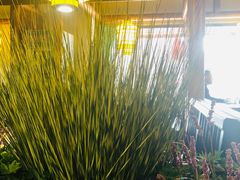 -小江南(高新天泺路店)