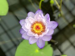 -国家植物园