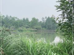 -桤木河湿地公园