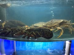 -蔚海之都·象山蒸汽海鲜(仙霞路店)