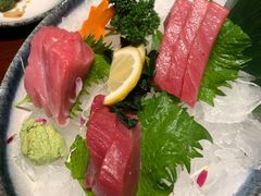 蓝鳍金枪鱼腩刺身-松子料理(亮马桥店)