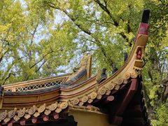 -狼山风景名胜区