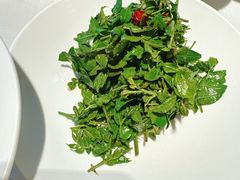 -到家尝北京菜(西坝河店)
