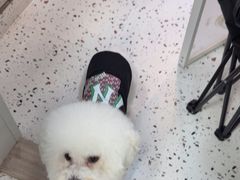 -瑞派康怡24h宠物医院·犬猫医疗中心·微创绝育(瑞景分院)