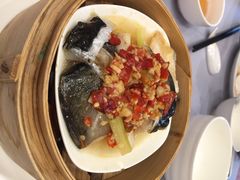 维多利亚大酒店午茶餐厅-维多利亚大酒店·雅园中餐厅