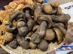 -牛羊鲜汤锅(塔公镇菜市场店)