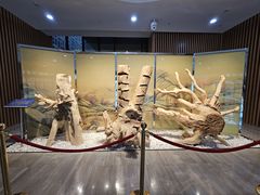 -中国沉香文化博物馆