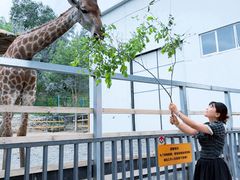 -水上乐园·欢乐世界