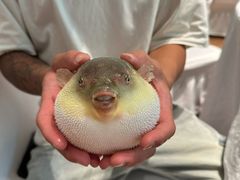 -永安鱼庄·镇江菜(东吴路店)