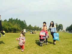 -艾溪湖湿地公园