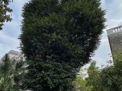 -荔湾湖公园