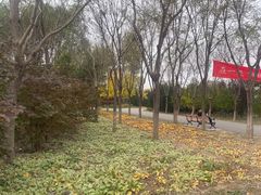 -东郊湿地公园