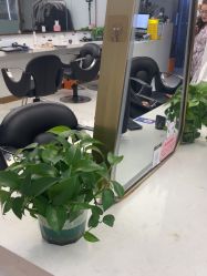 -镁连社·美联社