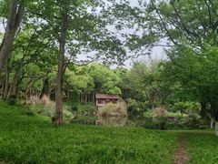 -杭州植物园