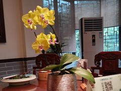 -山水茶艺馆·点心粤菜·30年老字号