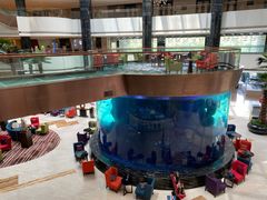 -OPEN開全日自助餐厅·牛肉火锅·海鲜(佛山希尔顿酒店)