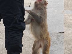 -重庆云阳龙缸景区
