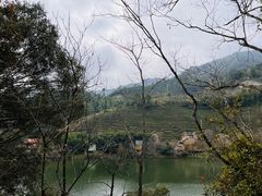 -天台国家森林公园水上茶乡九鹏溪